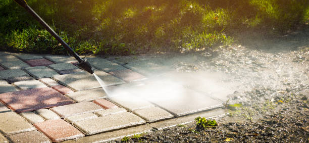 Best Animal Enclosure Cleaning  in Rimersburg, PA